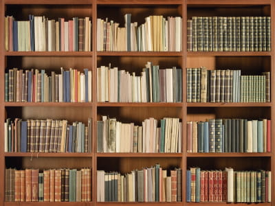 Fototapete Zimmer mit Büchern