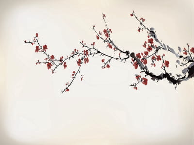 Fototapete Sakura-Zweig