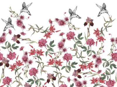 Fototapete Kolibri und Blumen