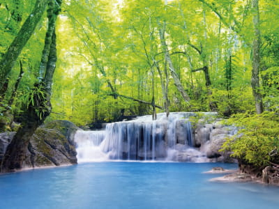 Fototapete Naturwaldwasserfall