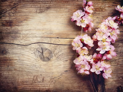 Fototapete Blüte auf Holzhintergrund