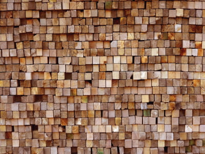 Fototapete Langlebige Holzklötze