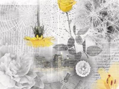 Fototapete Gelbe Blumen auf grauem Hintergrund