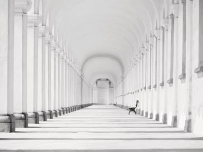 Fototapete Weißer Tunnel