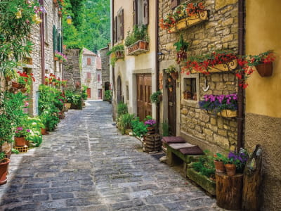 Fototapete Straßen der Provence