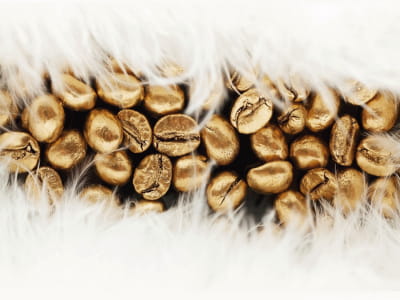 Fototapete Aroma von Kaffeebohnen