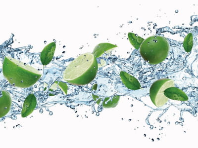 Fototapete Frische Limette