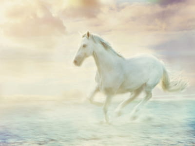 Fototapete Malerisches Pferd