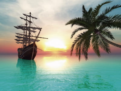 Fototapete Schiff und Palme