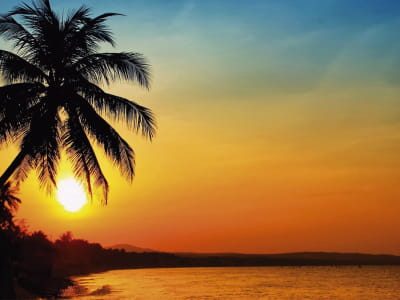 Fototapete Palme bei Sonnenuntergang
