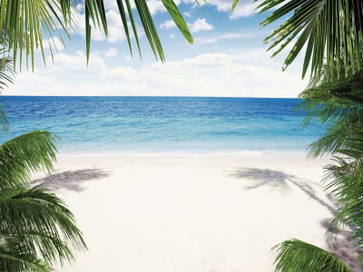 Fototapete Wunderschöner tropischer Strand