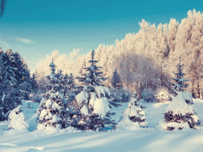 Fototapete Naturwinter