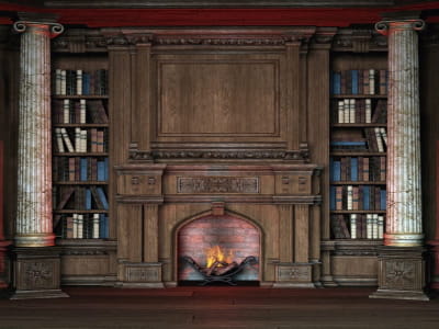 Fototapete Kamin und Bücherregale