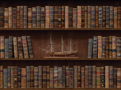 Fototapete Auf einem Bücherregal versenden