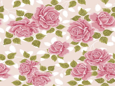 Fototapete Wunderschöne rosa Rosen