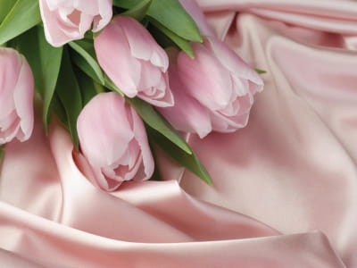 Fototapete Tulpen auf Seide