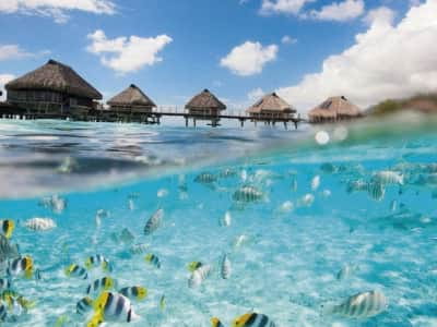 Fototapete Tauchen unter Wasser