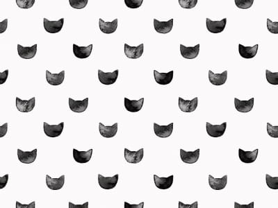 Fototapete Schwarzer Kater