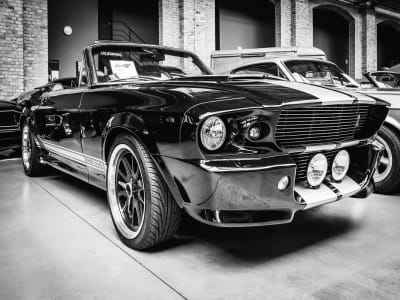 Fototapete Ford Mustang Shelby