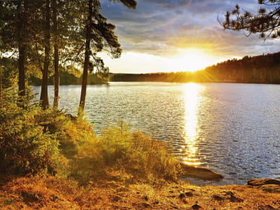 Fototapete Sonne über dem Fluss