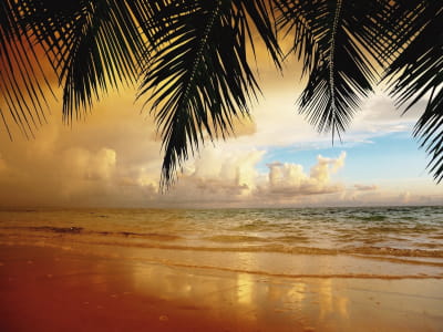 Fototapete Palmenmeer bei Sonnenuntergang
