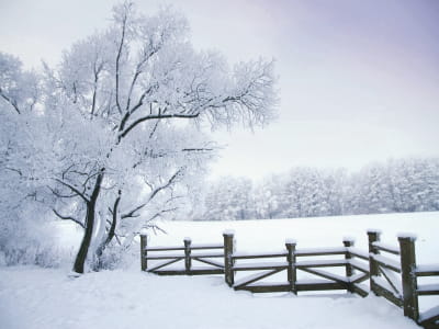 Fototapete Natur im Winter