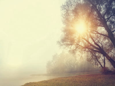 Fototapete Abendnebel