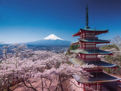 Fototapete Park in Japan
