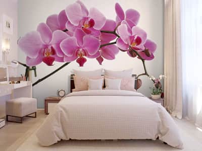 Fototapete Volumetrische Orchidee