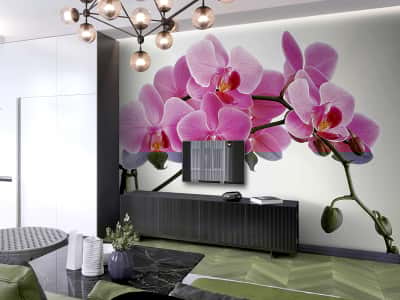 Fototapete Volumetrische Orchidee
