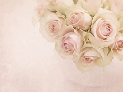 Fototapete Strauß üppiger Rosen