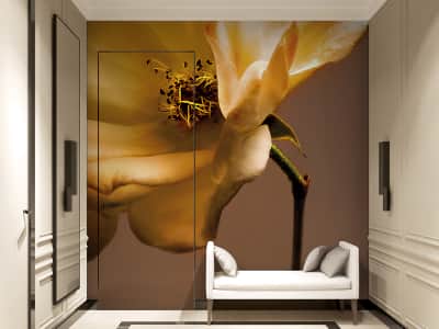 Fototapete Bronzeblume