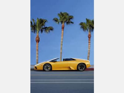 Fototapete Gelber Lamborghini und Palmen