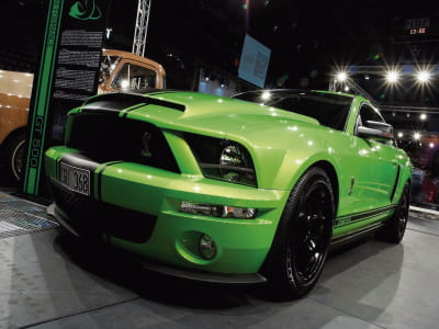 Fototapete Mustang