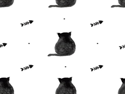 Fototapete Gut genährte Katzen