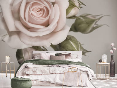 Fototapete Zarte Rose