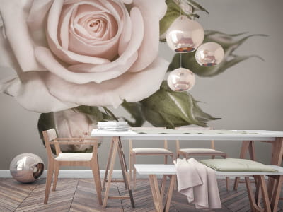 Fototapete Zarte Rose