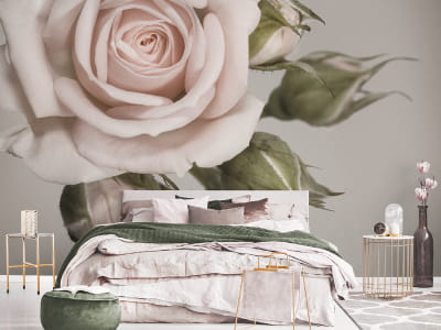 Fototapete Zarte Rose