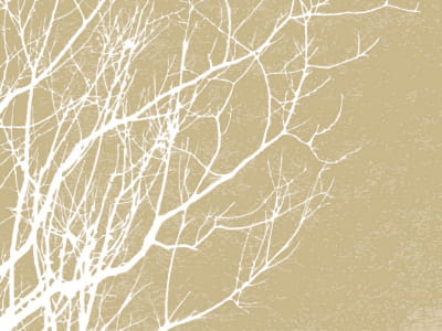 Fototapete Weißer Baum