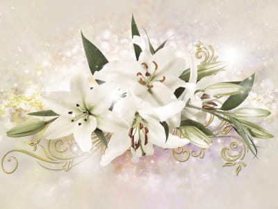 Fototapete Schillernde Lilien