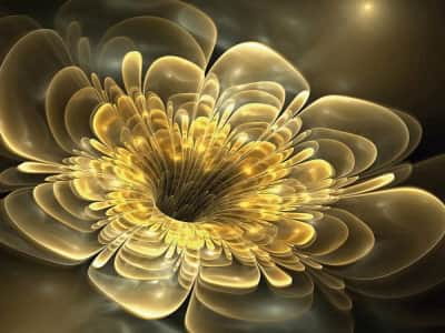 Fototapete Goldene Blume