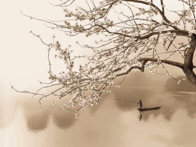 Fototapete Blühender Baum am Fluss