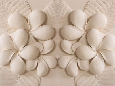 Fototapete Elegantes florales Flachrelief