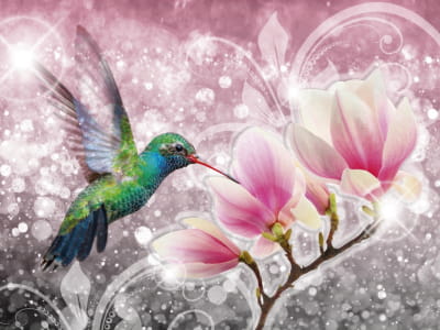 Fototapete Kolibri und Magnolie