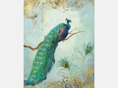 Fototapete Wundervoller Pfau