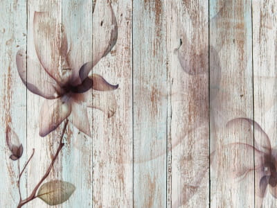 Fototapete Magnolienzeichnung auf Holz