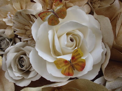 Fototapete Große Rosen und Schmetterlinge