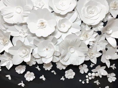 Fototapete Weiße Blumen 3D