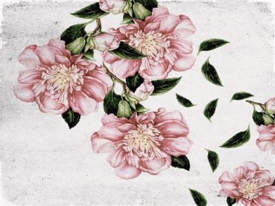 Fototapete Luxuriöse rosa Blüten