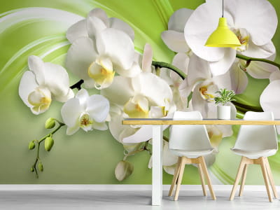 Fototapete Orchideen auf grünem Hintergrund